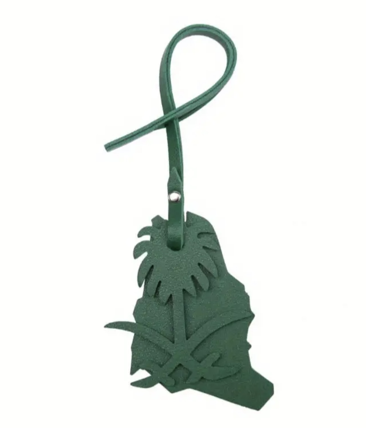 تعليقة موطني 